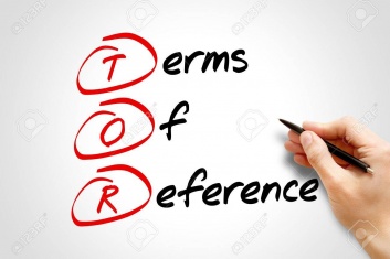 Summaries and Issues in the ICC Terms of Reference: The Right Level of Case Management Summaries and Issues in the ICC Terms of Reference: The Right Level of Case Management