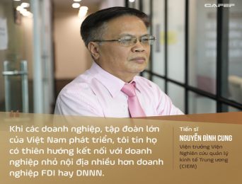 TS. Nguyễn Đình Cung nói gì về hệ quả của việc ưu tiên nguồn lực cho các "chaebol Việt Nam"?