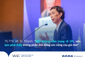 TS.TTV Võ Trí Thành: “BĐS không nằm trong rổ CPI, nên lạm phát thấp’ không phản ánh đúng sức nóng của giá nhà” 