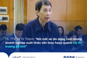 TS. TTV Võ Trí Thành: "Nói mãi về đa dạng hóa nhưng doanh nghiệp xuất khẩu vẫn loay hoay quanh vài thị trường dễ tính"