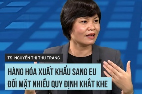 Ủy viên Thường trực Ủy ban Kinh tế của Quốc hội Phan Đức Hiếu: Luật Đất đai (sửa đổi) sẽ có tác động lớn
