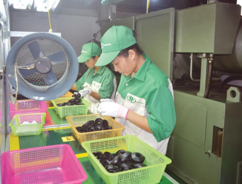 Kinh tế tư nhân: Cần siêu tập đoàn?