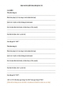 HD002 | Hợp đồng Liên doanh Quốc tế