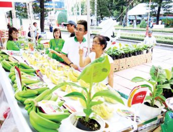 Sản phẩm bảo hộ tại Việt Nam chưa chắc nước khác công nhận