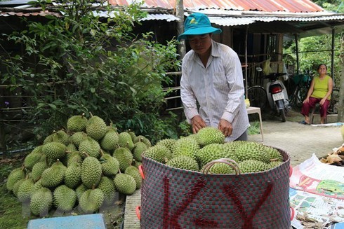 Farm produce needs improved quality to unlock EU market